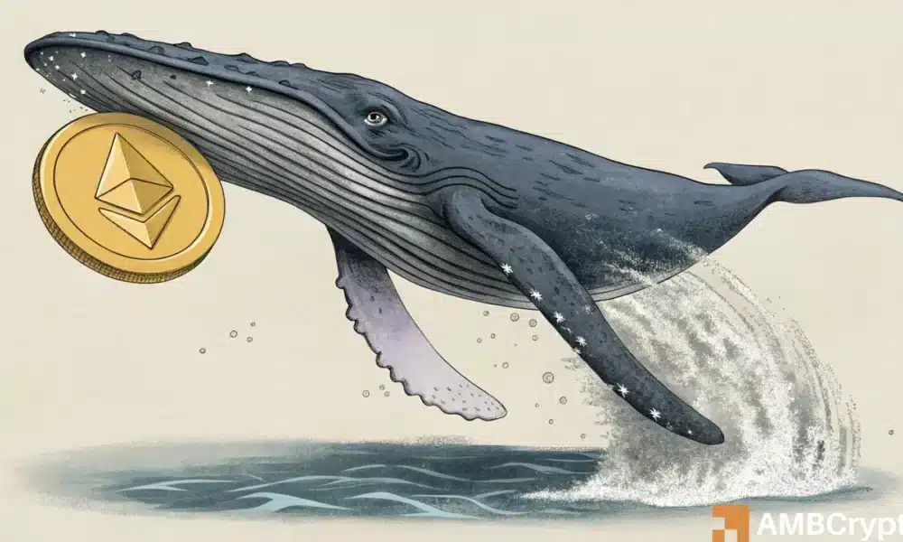Recovery on the Horizon? ETH Plummets as Whales Snatch Million Worth of Ethereum