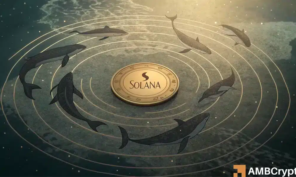 Solana 陷入困境?SOL 价格未能突破 200 美元大关,原因何在?